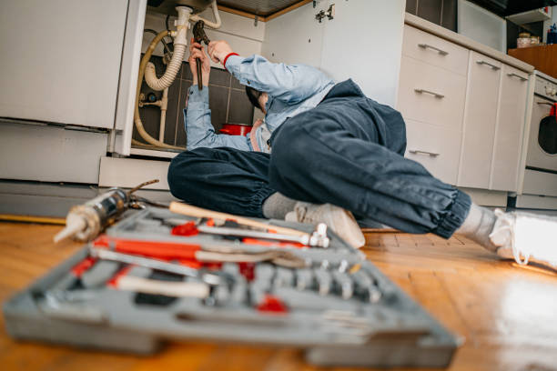 Best Plumbing Inspection Services  in Kdeer, IL